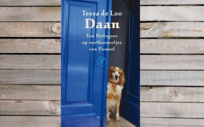 Daan. Een Portugees op voetkussentjes van fluweel