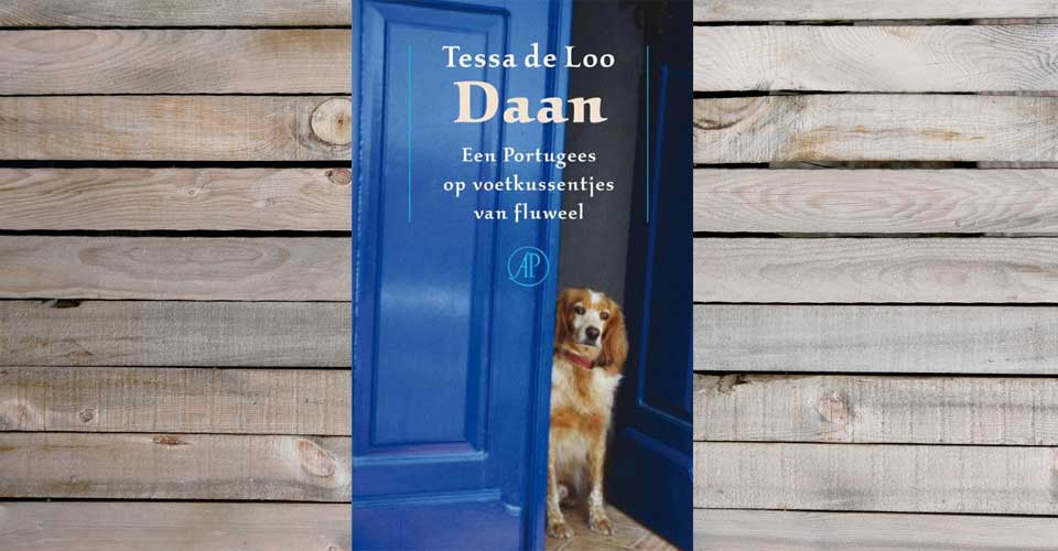 Daan een Portugees op voetkussentjes van fluweel