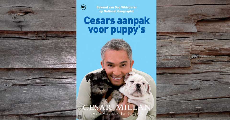 Cesars aanpak voor puppy’s