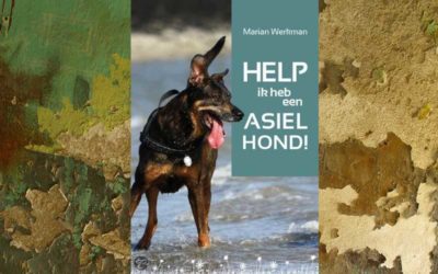 Help, ik heb een asielhond!