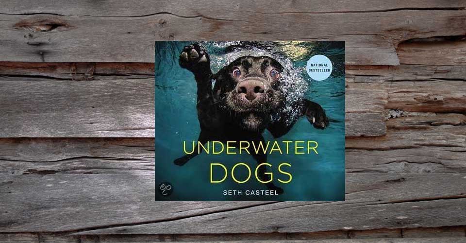 Underwater Dogs