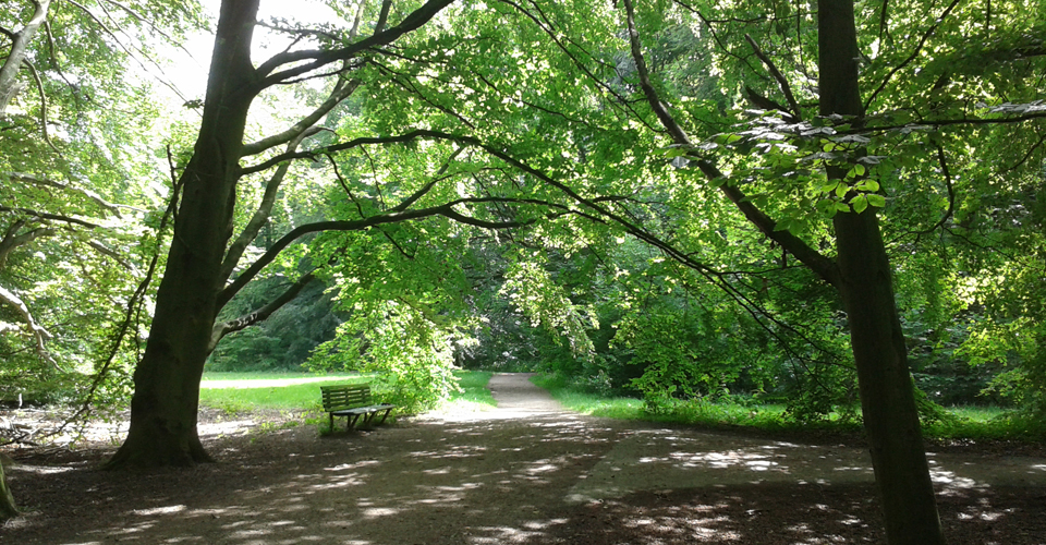 Amsterdamse Bos