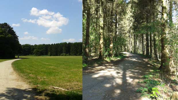 Amsterdamse Bos, hondenlosloopgebied