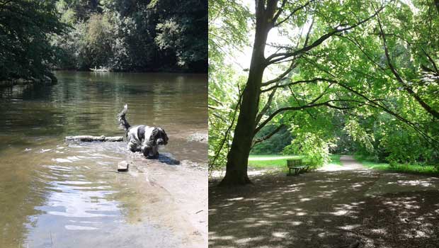 Amsterdamse Bos, hondenlosloopgebied