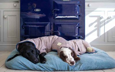 Hondenbadjas, voor als het echt nat is