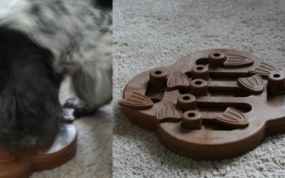 Leen een hondenpuzzel bij een speel-o-theek voor honden