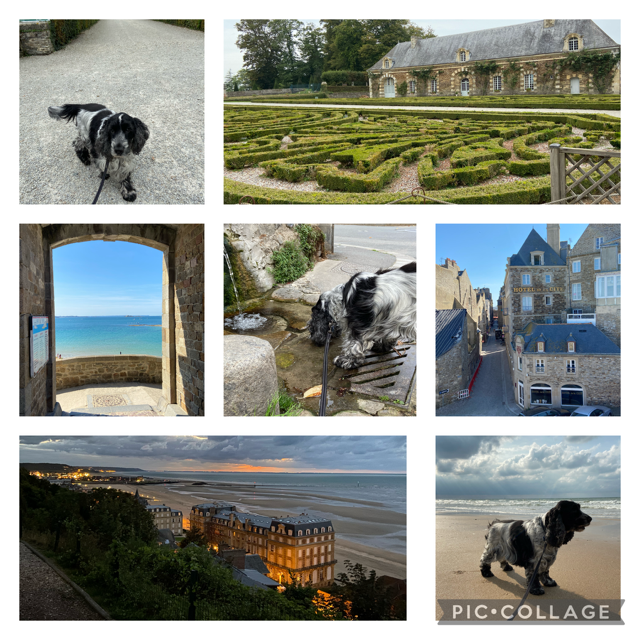 collage van foto's van de reis naar Normandie. Hond aan het strand, kasteeltuin, zicht op breed strand