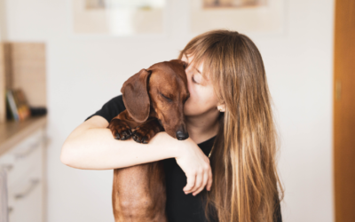 Een jonge vrouw houdt een kortharige teckel vast die ze liefdevol zoent