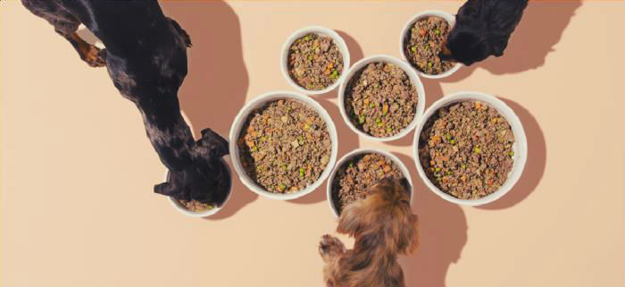 honden eten maaltijden van DogChef