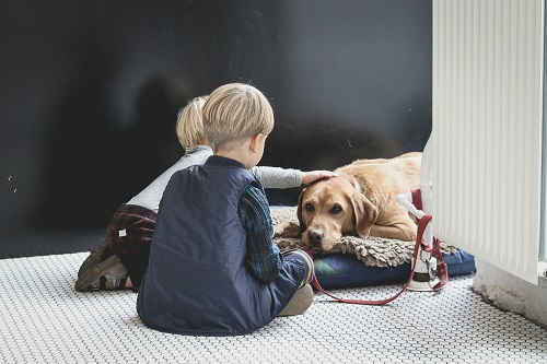 kinderen aaien oude, liggende hond