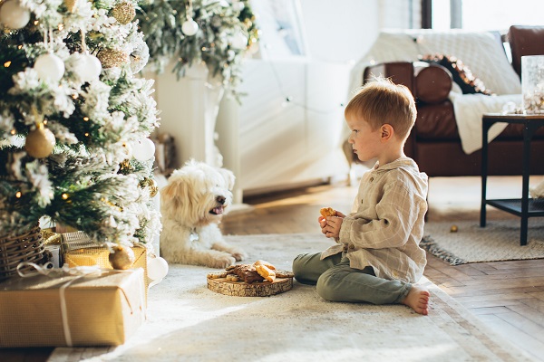 Chocolade is gevaarlijk voor honden