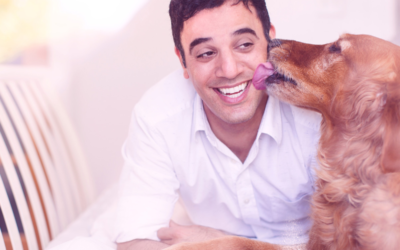 TEDTalk, Why don’t dogs live forever?