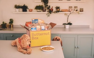 Gezonde kant-en-klare maaltijden voor je hond van Butternut Box