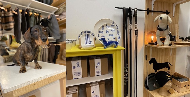 Van longontsteking tot unieke teckelwinkel