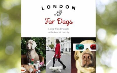 London for dogs