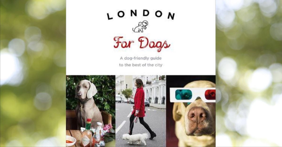 London for dogs