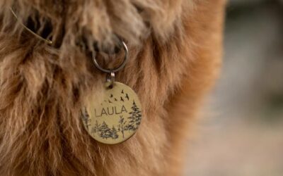 Aan de halsband van een lichtbruine hond hangt een ronde met daarop de naam Laura omringt door bomen en overvliegende vogels