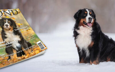 Tijdschrift Onze Hond